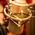 voice over your project in latin american spanish