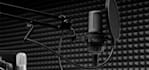 record a professional arabic voice over for your script