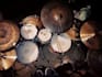 record professional studio quality live drums for your song