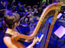 record the harp for your music