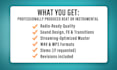 produce a custom industry standard instrumental for you