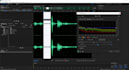 fix or repair any sounds on your voice recording or video