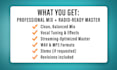 mix and master your song to industry standard