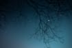make exclusive ambient music for you