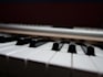 compose original music for your next project
