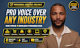 record a professional american english voice over