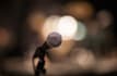 do professional voice over in hindi within 24hours