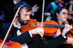 record violin or viola for your song