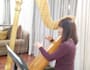 improvise and record on the harp