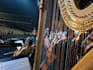 give harp lessons  to any levels and any ages