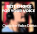 provide a professional voice over perfect for your needs