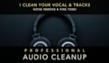 do top class audio mixing and mastering in 24 hour
