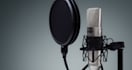 dub your youtube video or make you a voice over