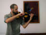 record oriental violin and viola loops and solos