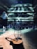 record professional acoustic guitar