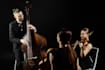 record pro bass guitar or double bass