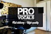 be your male singer and record pro lead and harmony vocals