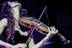 be your country, folk, rock fiddle violin player