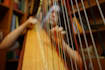record the harp for your project