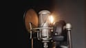 sing male vocal harmonies and backing vocals