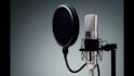 record a professional uzbek female voice over