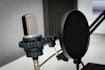 record a professional bulgarian voice over today