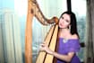 record top quality harp and deliver in 24h
