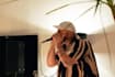 teach you how to beatbox professionally