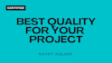 record a professional brazilian portuguese voice over