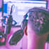 mix your music to industry standards