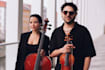 record real orchestra strings violin cello viola