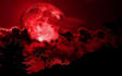 amazing music compose and production
