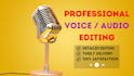 give a professional audio cleanup and enhance service