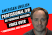 be your professional video voice over narrator in american english for youtube