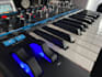 be a synth bass player for your project
