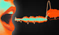 professionally tune and mix your vocals with melodyne