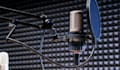 be your male pop edm, rnb, singer for your beat