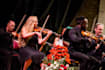 be your patient violin and viola teacher