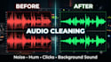 clean your audio noise hum clicks professionally