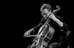record cello tracks and orchestral instruments, all genres