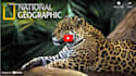 be your discovery type documentary voice