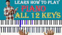 teach you how to harmonize, substitute and passing chords