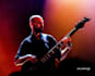 be your latin bass player