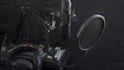 record a professional arabic voice over for your script