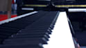 compose and arrange original music for your project