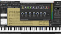 arrange and transcribe most types of music