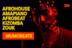 produce and write your next afrobeat, afro house, amapiano, kizomba,zouk, kompa