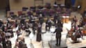 be your juilliard trained vocal coach for all levels
