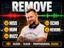 professionally remove noise, hiss, hum and echo from audio