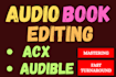 do podcast audio editing, clean up, fix, sync, mixing, repair, enhance voice